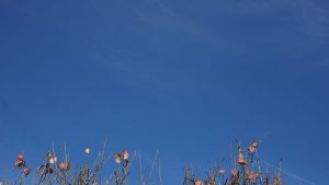 dsc04296s